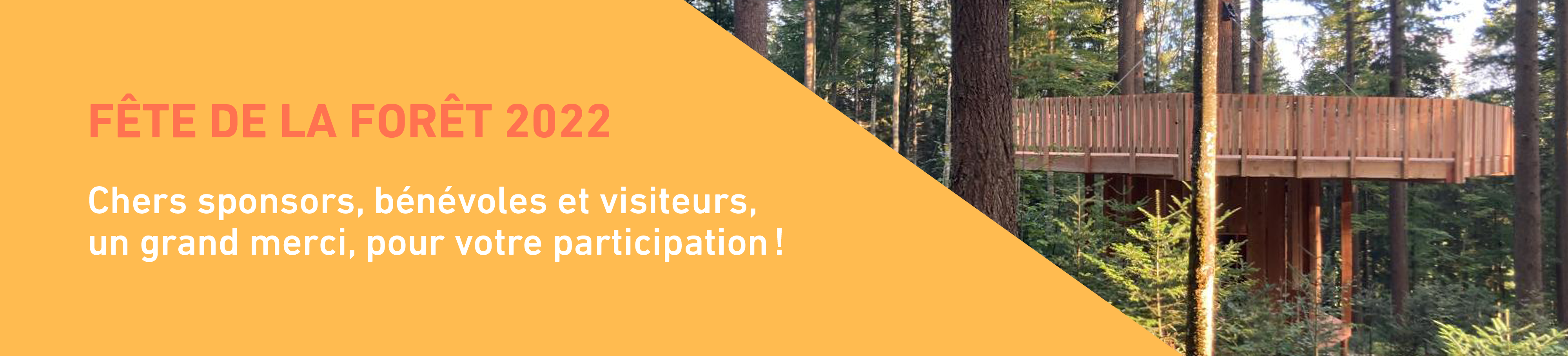 fête de la foret_MERCI